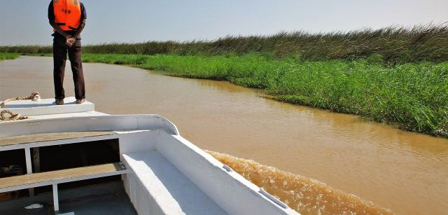 Un senegales observa desde un barco el río Senegal / Foto: AGP