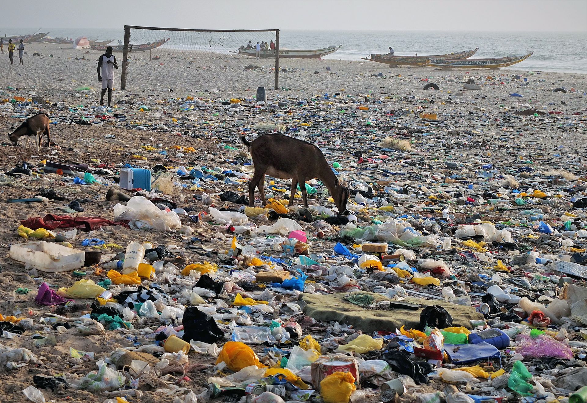 Una cabra rebusca en un vertedero informal de Maka Diama, la localidad del norte de Senegal donde tiene un taller la asociación / Foto: AGP