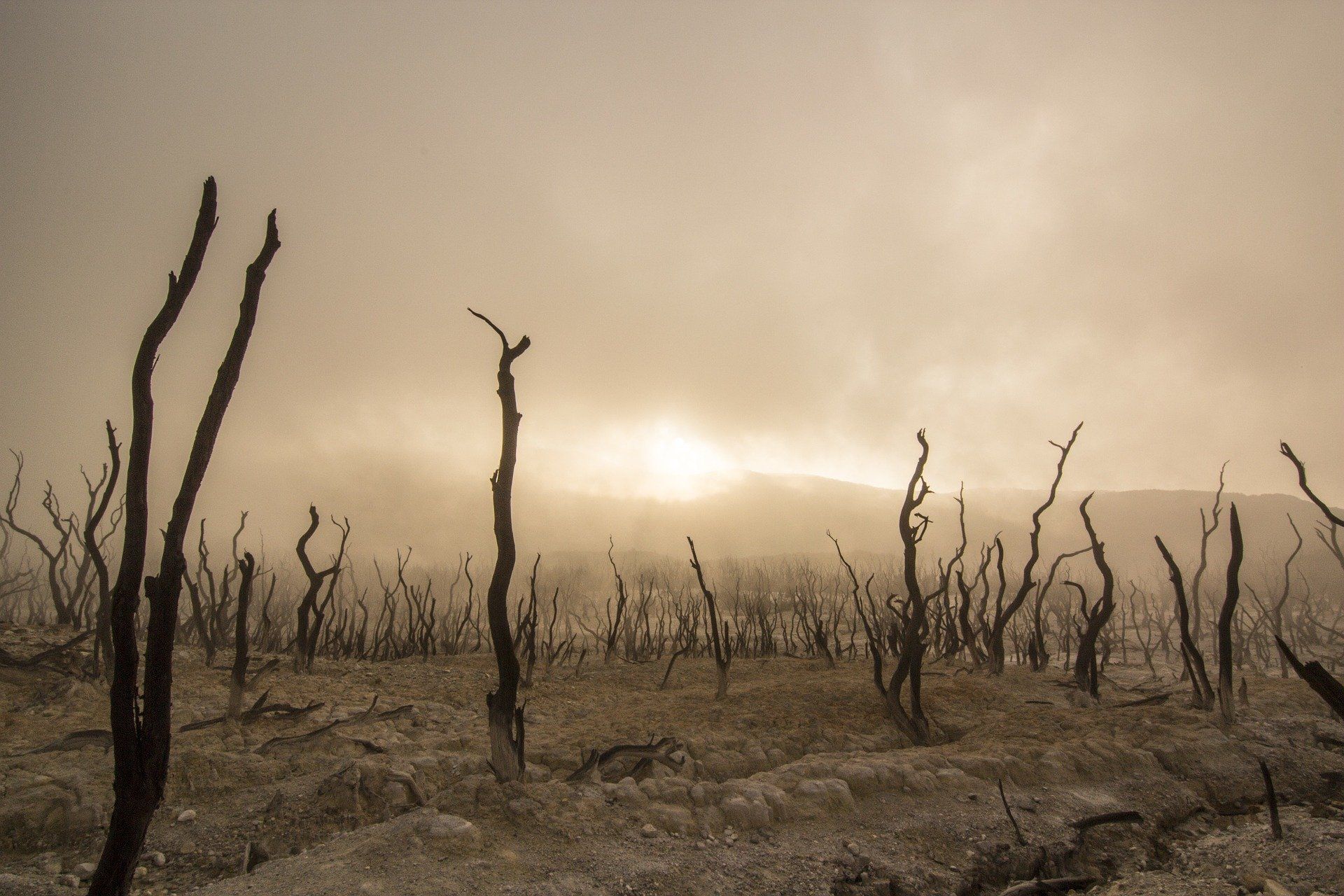 La crisis climática afecta cada vez más a la salud mental de los más jóvenes / Foto: Pixabay