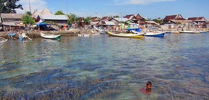 La orilla del ambiente marino suele estar muy contaminado / Foto: Joleah Lamb