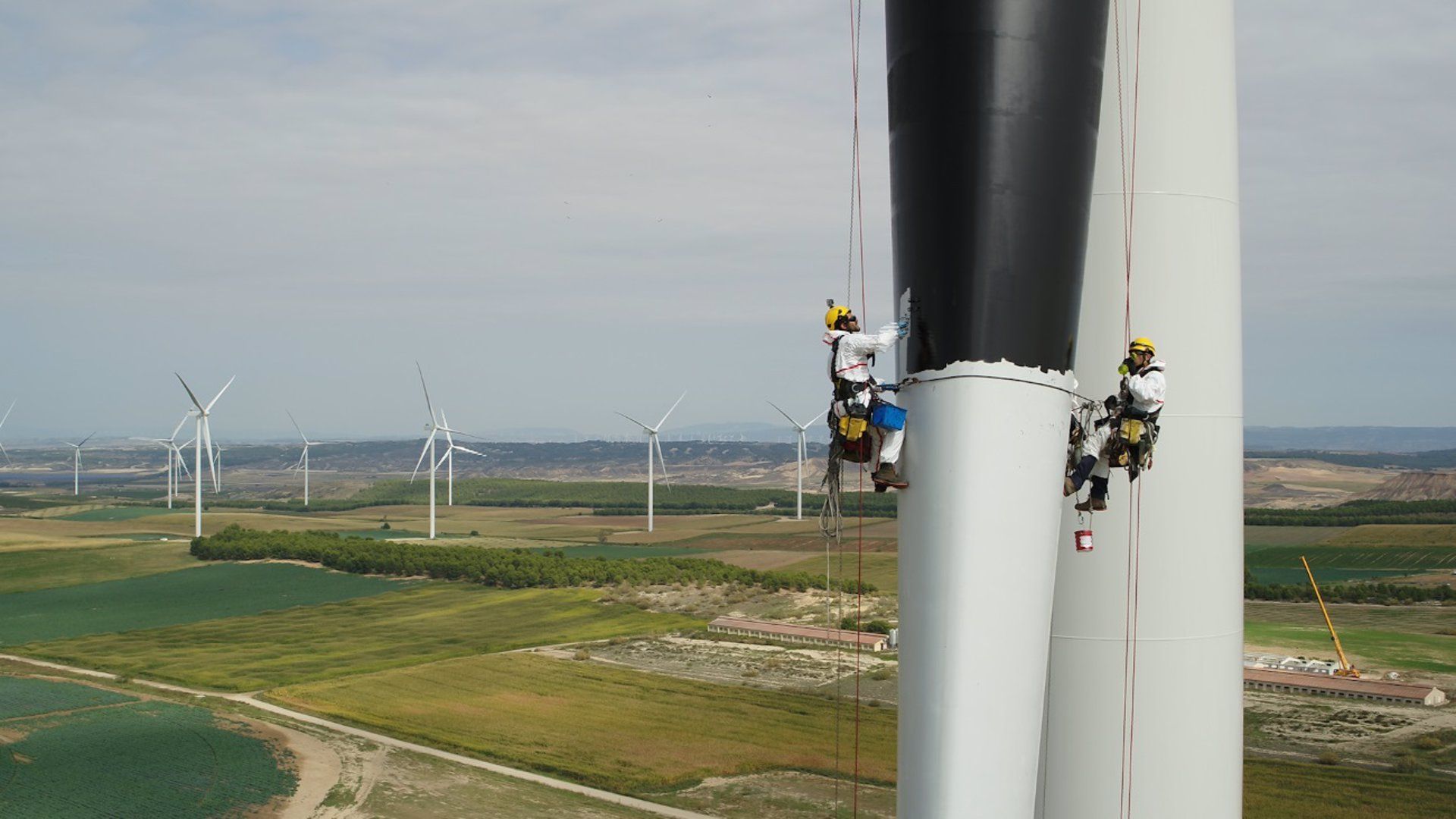 Implantan un proyecto para disuadir a las aves. Aerogeneradores / Foto: Iberdrola - EP