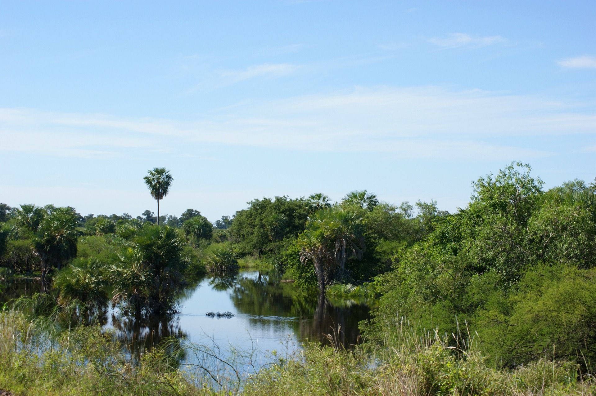 La ONU acusa a Paraguay de violar los derechos de los indígenas / Foto: aranha - Pixabay