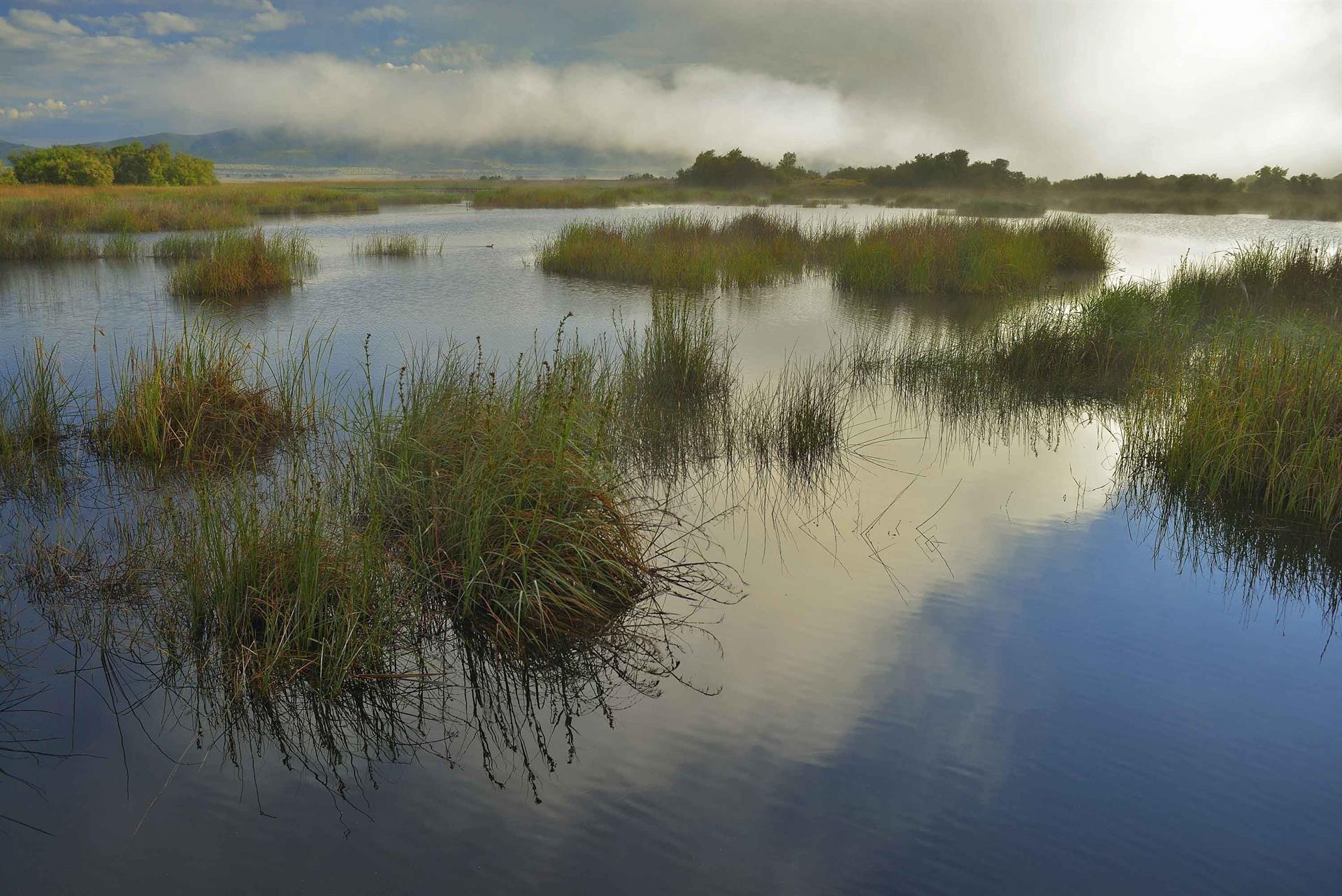 Los humedales sufren un robo de agua que equivale a 88.645 hectáreas / Foto: EP