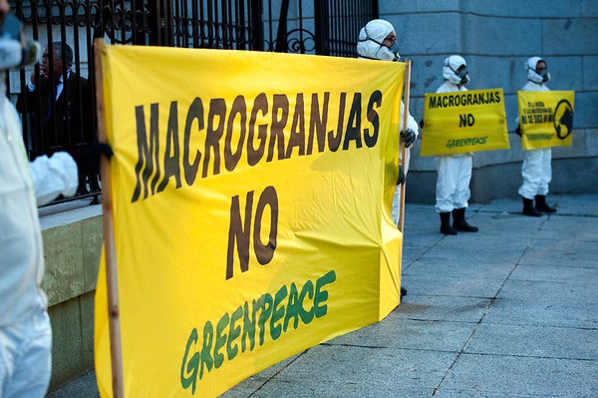Greenpeace pide una que paralice las macrogranjas industriales / Foto: EP