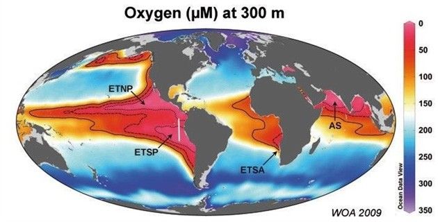 Áreas con altos niveles de metano / Foto: EP - Max Planck - Institute for Marine Biology