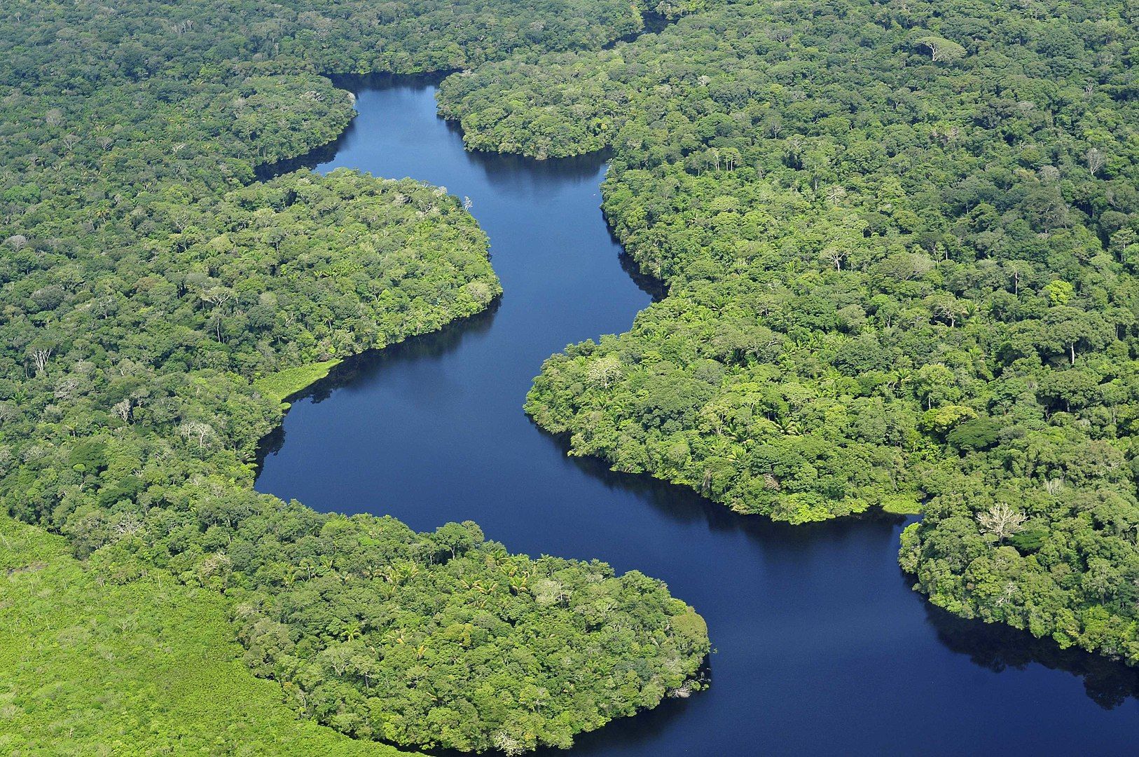 Vista aérea de la selva amazónica, cerca de Manaus, capital del estado brasileño de Amazonas / Foto: Wikimedia