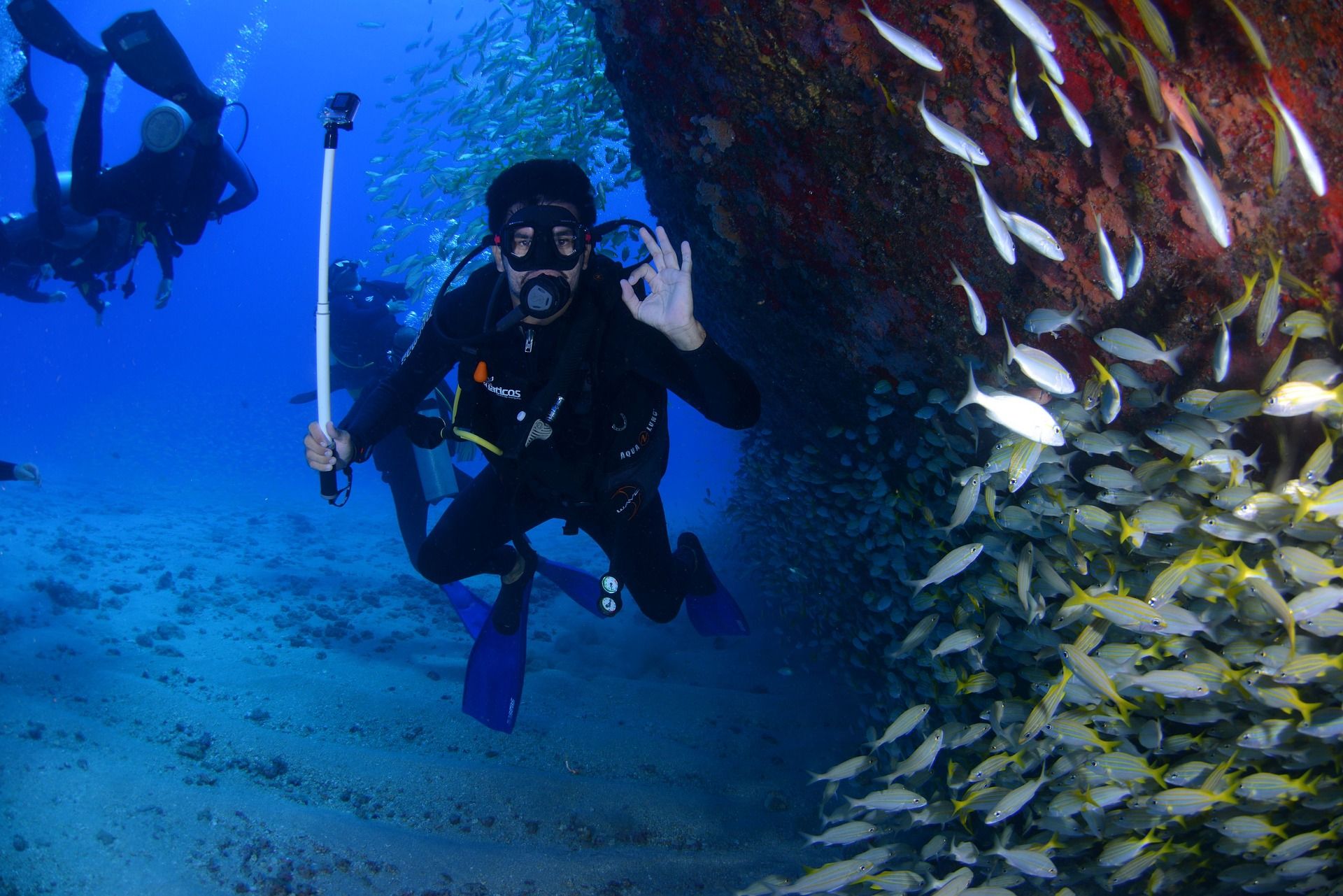 Salidas de buceo para recaudar fondos para afectados de La Palma / Foto: Pixabay