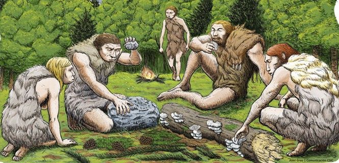 Recreación de cómo cinco neandertales de El Sidrón degustan setas, piñones y musgo / Imagen: SINC - Abel Grau (CSIC)