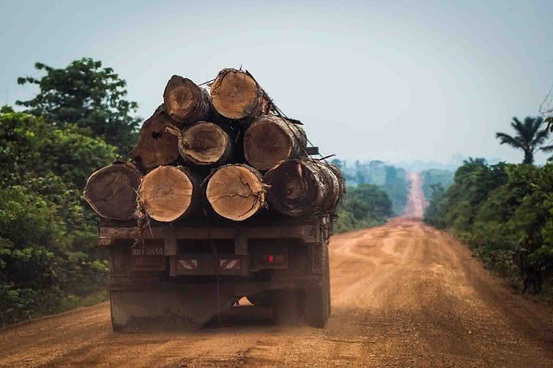 El Gobierno brasileño intenta desacreditar los datos que denuncian un aumento de la deforestación y no ofrece soluciones concretas / Foto: EP