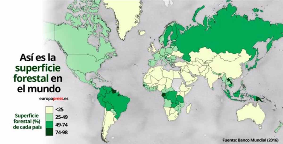 Superficie forestal en el mundo