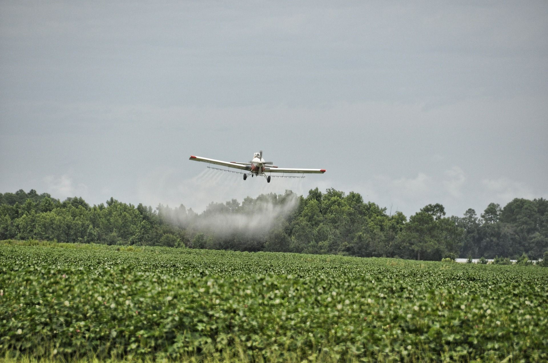 Se aprueban ayudas para controlar contaminación por lindano / Foto: Jan Amiss - Pixabay