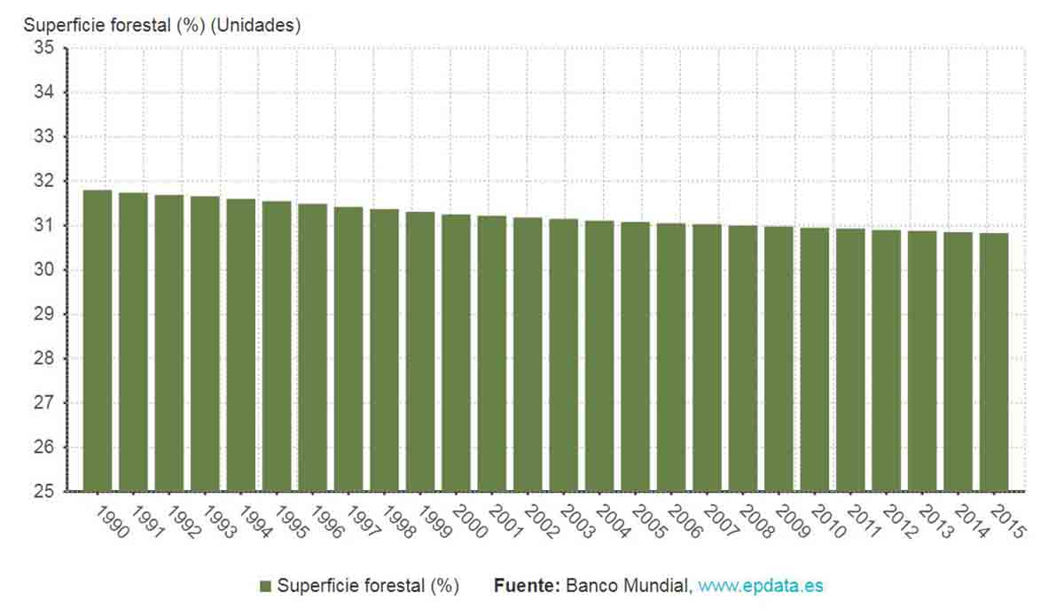 La superficie forestal en el mundo ha descendido un 3,13% desde 1970