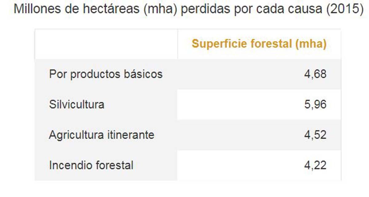 La silvicultura es la principal causa de deforestación en el mundo