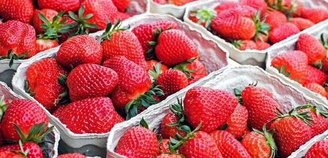 Actualmente se pueden encontrar en el mercado fresas baratas casi todo el año / Foto: Pixabay