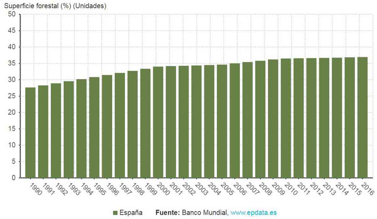 La superfeicie forestal ha aumentado en España desde los años noventa