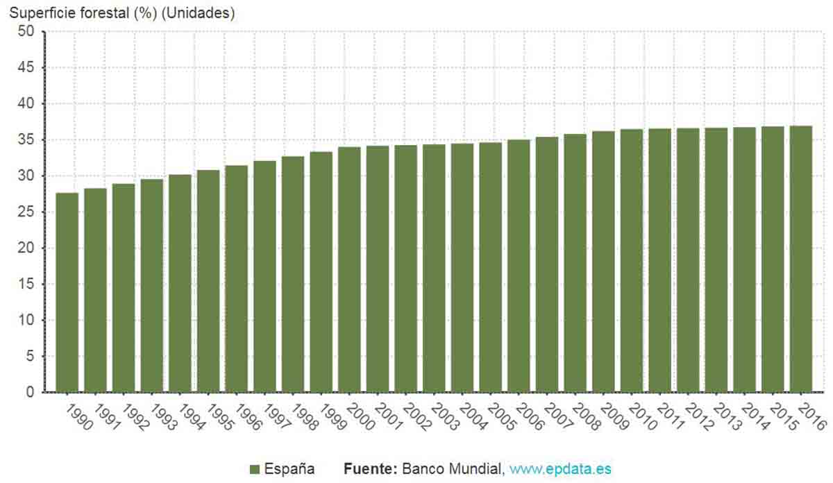 La superfeicie forestal ha aumentado en España desde los años noventa La superfeicie forestal ha aumentado en España desde los años noventa