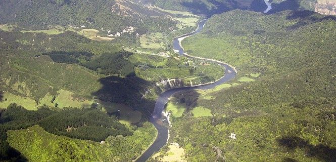 El Whanganui es el curso fluvial navegable más largo de Nueva Zelanda, ha adquirido legalmente derechos   / Foto: Wikipedia - Joerg Mueller