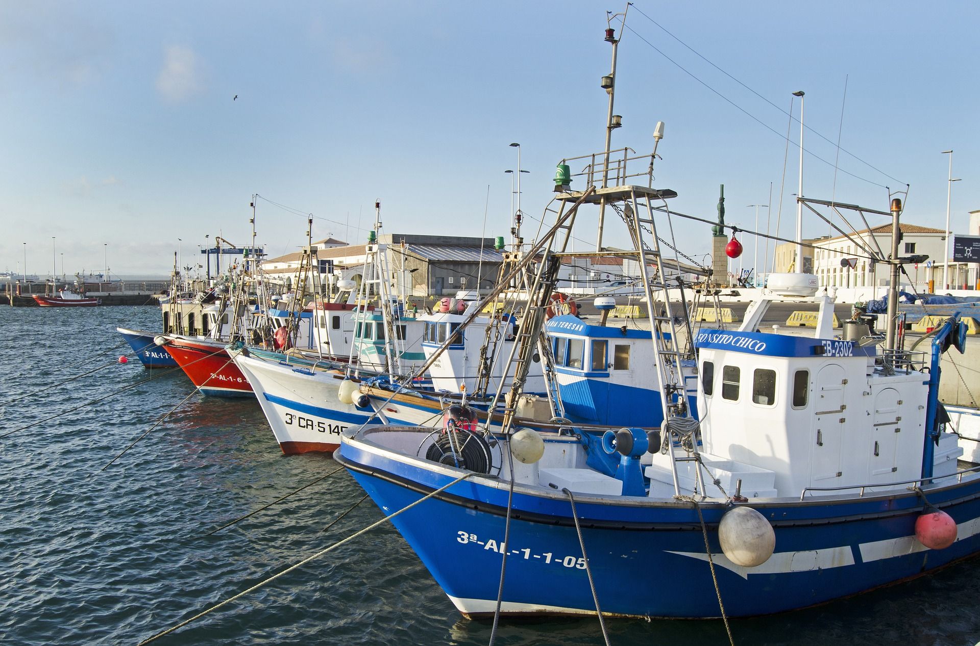 Varios países mediterráneos adoptan medidas contra redes de pesca abandonadas / Foto: Jim Black - Pixabay