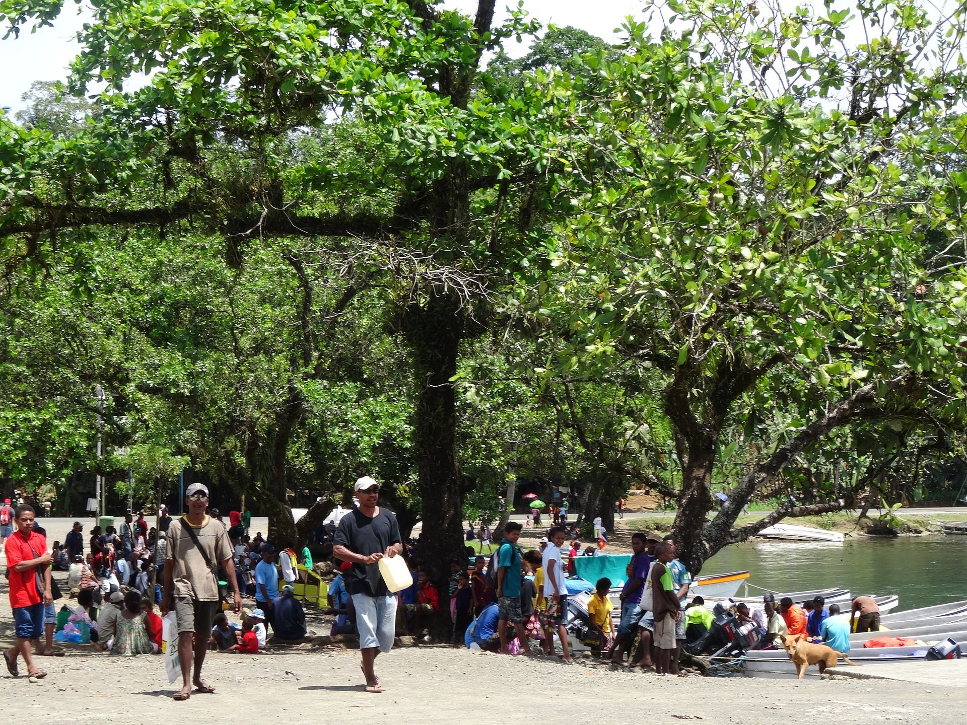 ¿Por qué tienen pavor a las vacunas los habitantes de Papúa Nueva Guinea? / Foto: Pixabay