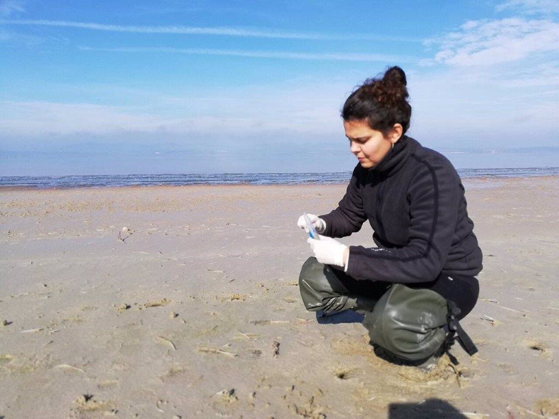 La investigadora Dayana Jarma tomando muestras de heces de aves que muestran resistencia a los antibióticos / Foto: Fundación Descubre - EP