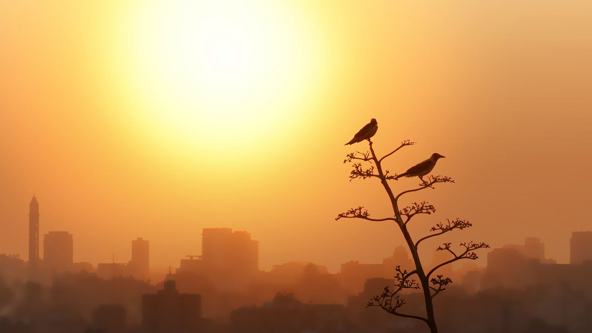 La contaminación del aire se asocia con un mayor riesgo de Covid-19 / Foto: Pixabay