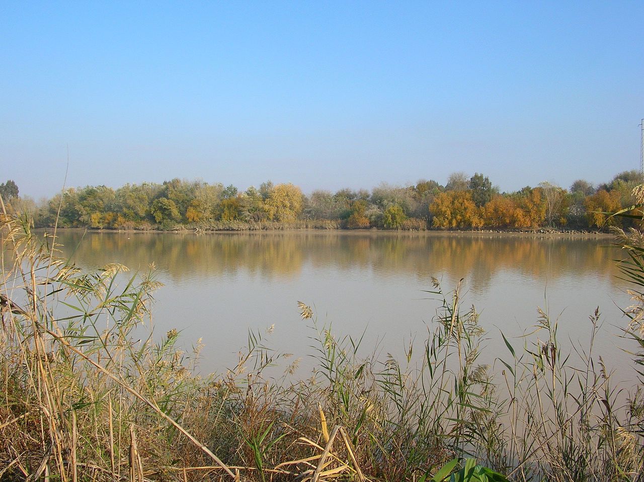 Río Guadalquivir. La CHG podrá clausurar de manera inmediata pozos irregulares / Foto: Wikimedia Commons