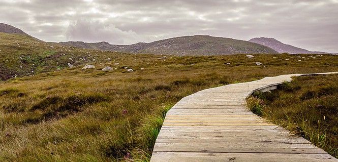 Típico paisaje de turberas de las islas británicas / Foto: Pixabay