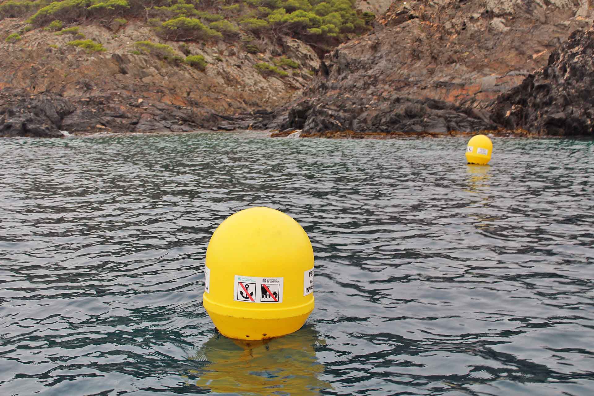 Boyas de señalización que restringen la entrada de Cala Galladera, donde apareció por primera vez la especie invasora 'Caulerpa cylindracea' en Cap de Creus / Foto: O. Corominas - EA