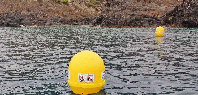 Boyas de señalización que restringen la entrada de Cala Galladera, donde apareció por primera vez la especie invasora 'Caulerpa cylindracea' en Cap de Creus / Foto: O. Corominas - EA