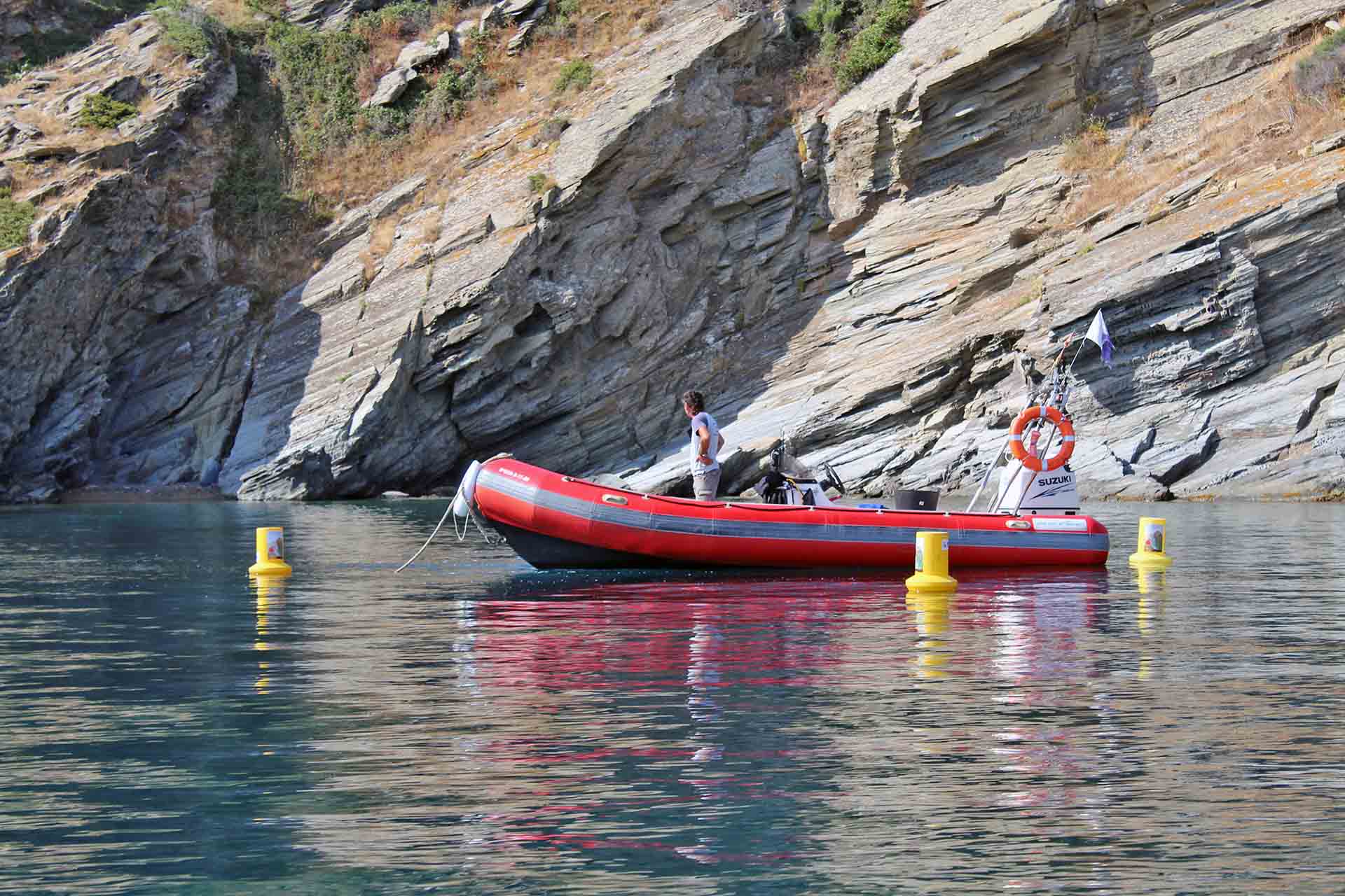 Zona perimetrada para la extracción de 'Caulerpa cylindracea' en Cala Sa Sabolla, en Cadaqués (Gerona) / Foto: O. Corominas - EA