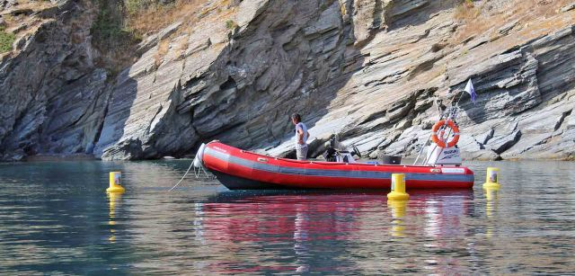 Zona perimetrada para la extracción de 'Caulerpa cylindracea' en Cala Sa Sabolla, en Cadaqués (Gerona) / Foto: O. Corominas - EA