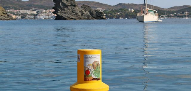 Una boya que advierte de la presencian del alga exótica invasora donde se lee La 'Caulerpa cylindracea' amenaza nuestros ecosistimas / Foto: O. Corominas - EA
