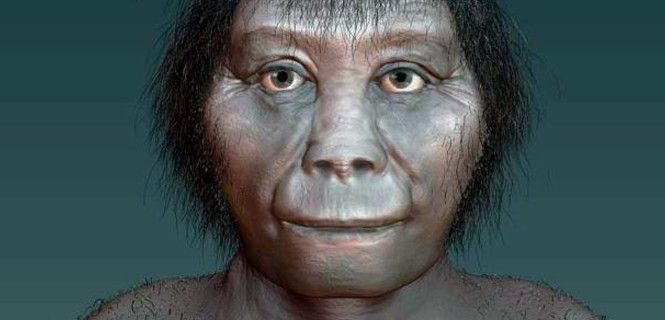 Recreación artística del Homo fluoresensis / Imagen: Katrina Kenny, SA Museum