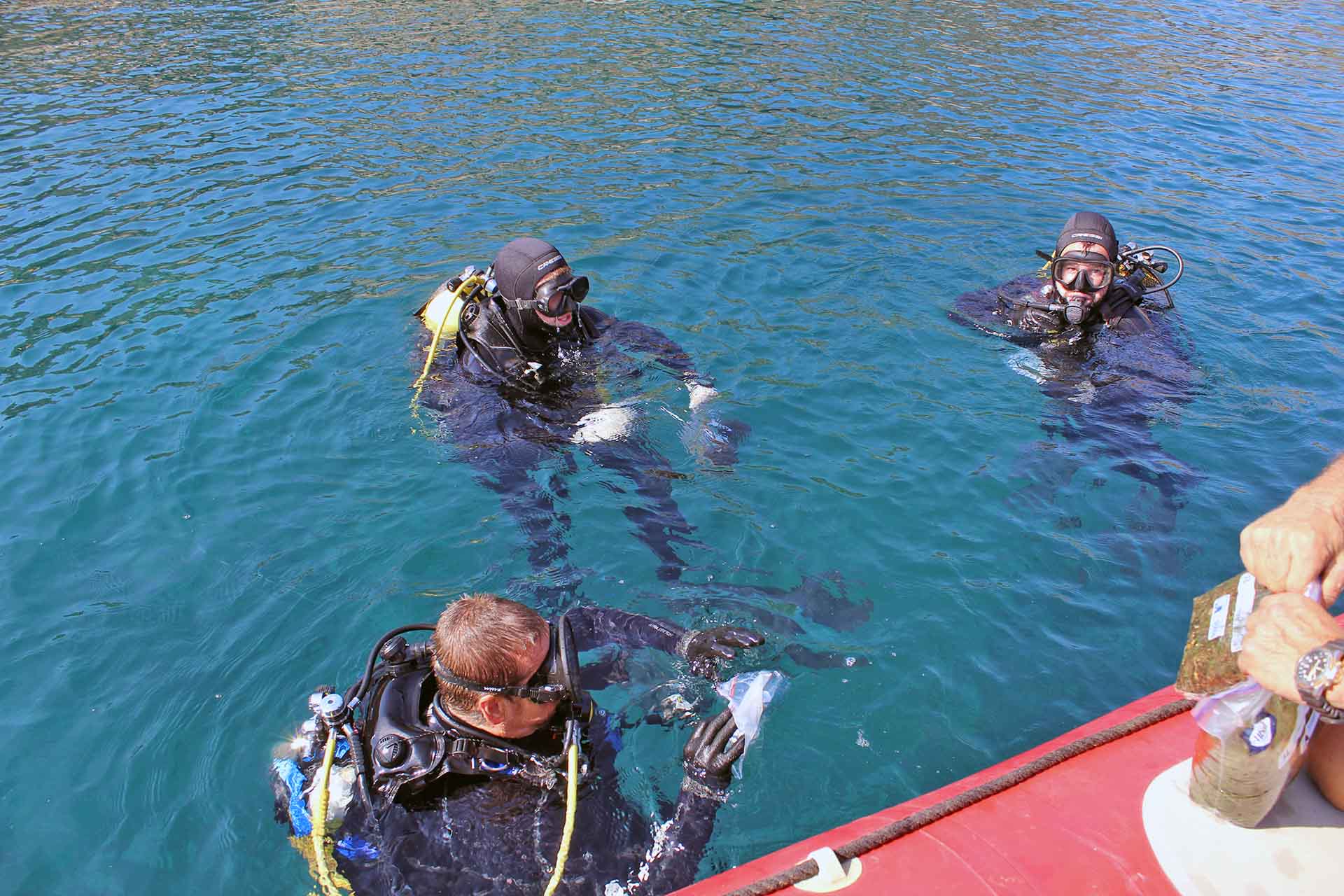 Tres buzos en la superfice marina del área de extracción de 'Caulerpa cylindracea' en Cala Sa Sabolla, Cadaqués / Foto: O. Corominas - EA