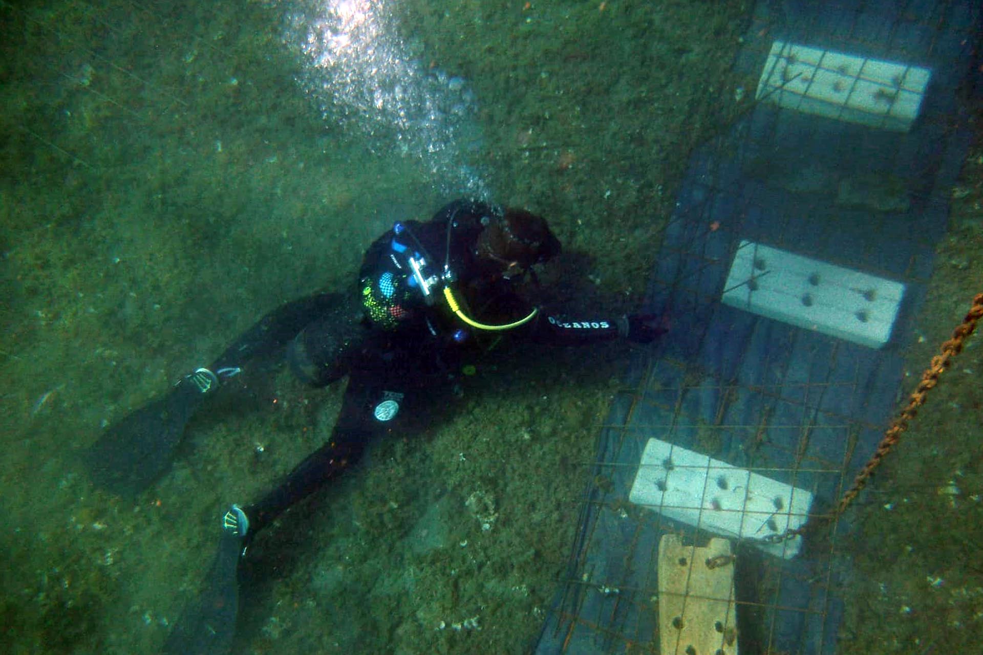 Un buzo finaliza la instalación de un sistema de fijación contra 'Caulerpa cylindracea' en el fondo marino de Cala Sa Sabolla en Cap de Creus, Gerona (Cataluña), después de su extracción / Foto: Jose Mercado - Promar - EA