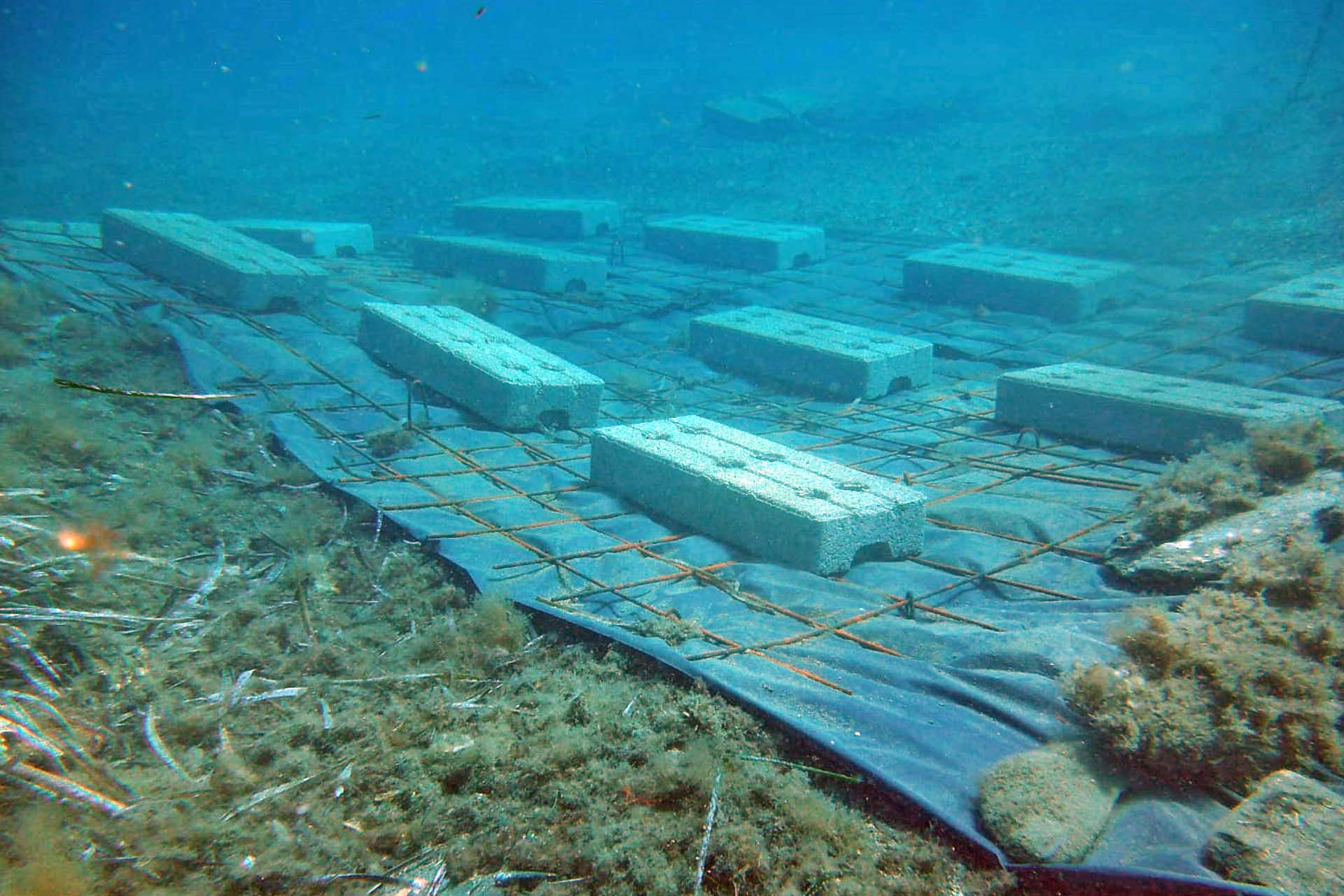 Sistema de fijación contra la invasora 'Caulerpa cylindracea' después de su limpieza en Cala Sa Sabolla en Cap de Creus, Gerona (Cataluña) / Foto: Jose Mercado - EA