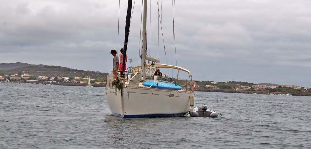 Una embarcación levanta el ancla repleta de vegetación marina, antes de zarpar / Foto: O. Corominas - EA