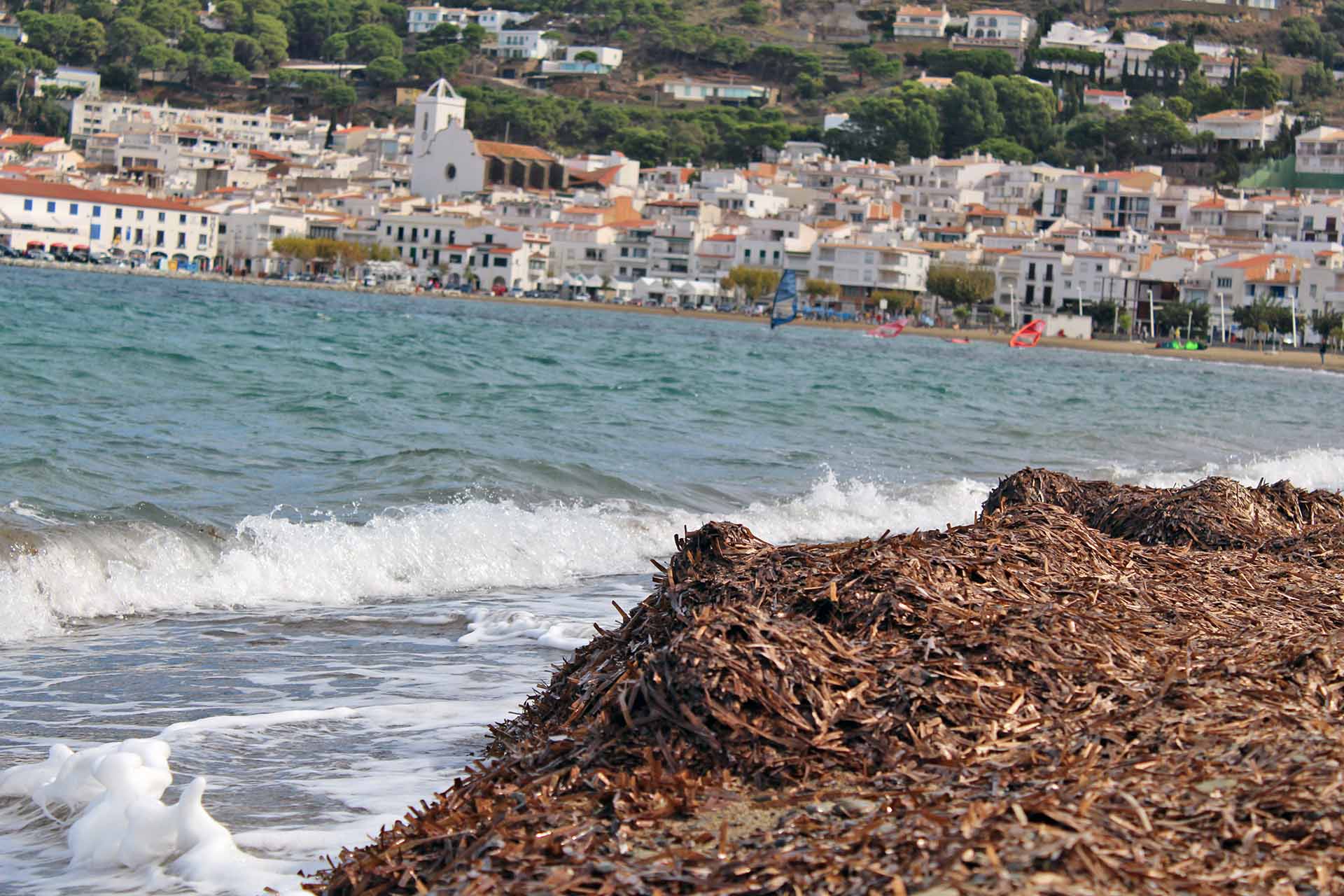Restos de posidonia en descomposición frente a la costa del Port de la Selva en Cap de Creus, Gerona (Cataluña) / Foto: O. Corominas - EA