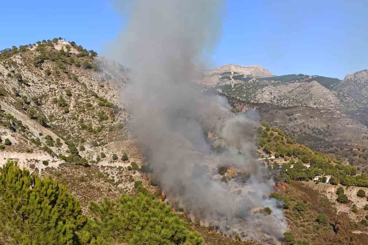 Un incendio forestal en Cómpeta (Málaga). Incendios forestales / Foto: EP