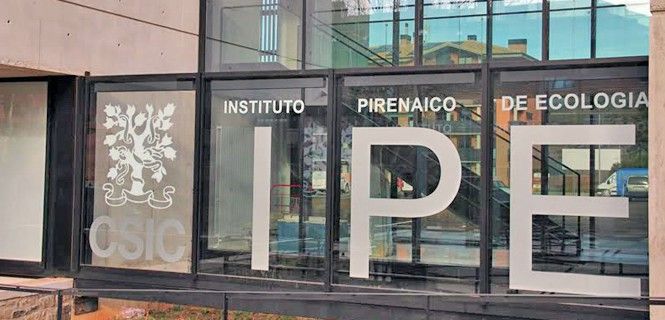 Instituto Pirenaico de Ecología / Foto: IPE