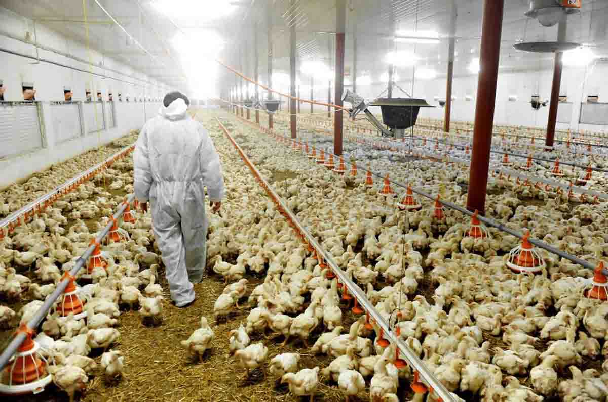 La aportación del enfoque de Una Salud también incluye las prácticas agrícolas / Foto: EP