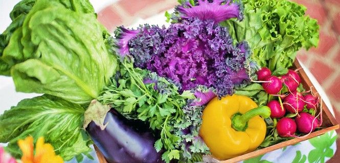 Surtido de vegetales propios de una dieta equilibrada / Foto: Pixabay