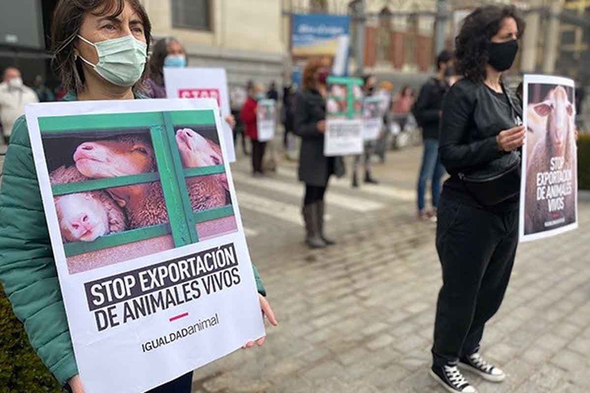 Manifestación de la ONG Igualdad Animal contra el sufrimiento de los animales criados para el consumo / Foto: Igualdad animal - EP