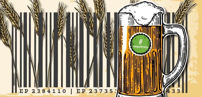 Carlsberg y Heineken obtienen un nuevo tipo de cebada tras mejorar el cultivo convencional / Foto: No Patents on Seeds!
