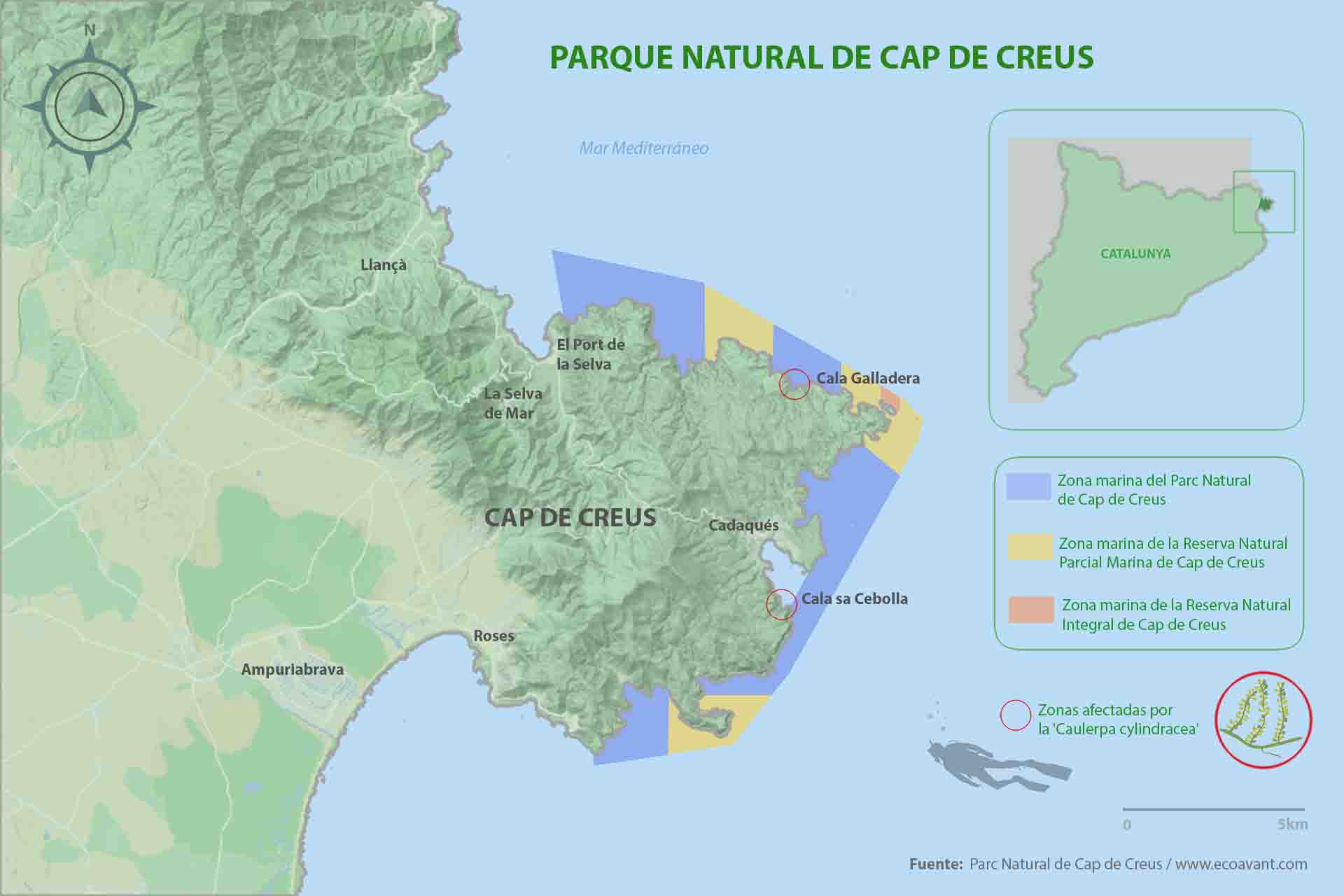 Mapa del Parc Natural de Cap de Creus con las zonas afectadas por la invasión biológica de la 'Caulerpa cylindracea' / Mapa: EcoAvant.com
