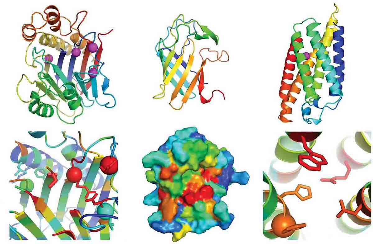 Modelos de estructura en 3D de distintas proteínas por el algoritmo RoseTTAFold / Imagen: Minkyung Baek & AAAS - SINC