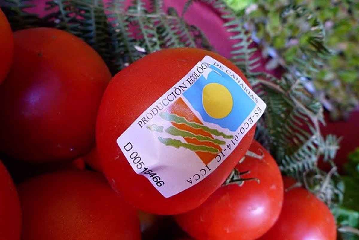 Unos tomates con una etiqueta de certificación de productos ecológicos / Foto: EP