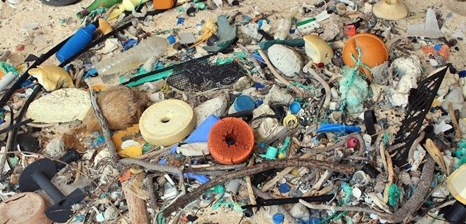 Hay más 671 de pedazos de basura por metro cuadrado / Foto: UT