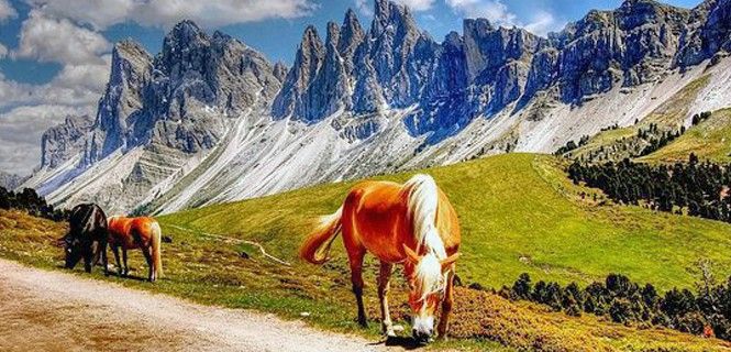 La mayor parte del macizo de las Dolomitas está incluido en la red europea / Foto: Kordi Vahle