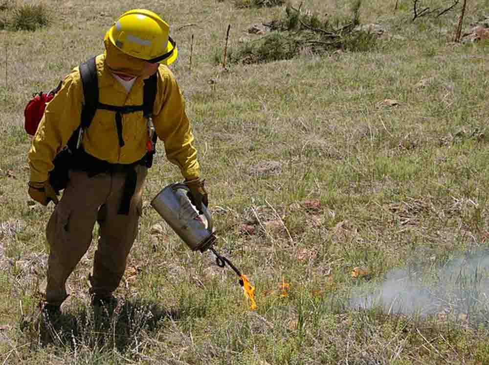 La quema controlada de entornos naturales / Foto: Wikipedia